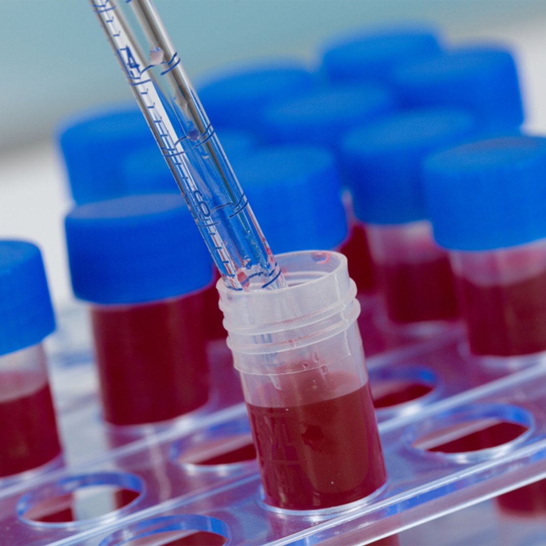 Laboratory technicians working